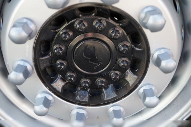 Schmitz -CARGOBULL / FIRANKA / STANDARD / DWIE OSIE PODNOSZONE /  WINDA ZAŁADOWCZA DHOLLANDIA - 2000KG  / 2016 zdjęcie 25