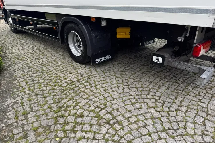 Scania P250 zdjęcie 14