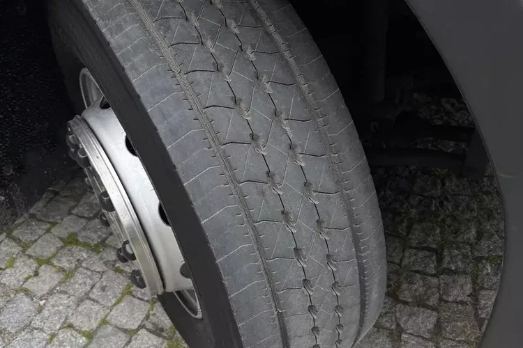 Scania P250 zdjęcie 22