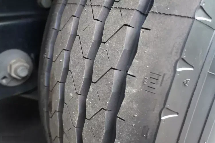 Kogel S24 / 2023 / Carrier Vector 1550 / Doppelstock / zdjęcie 27