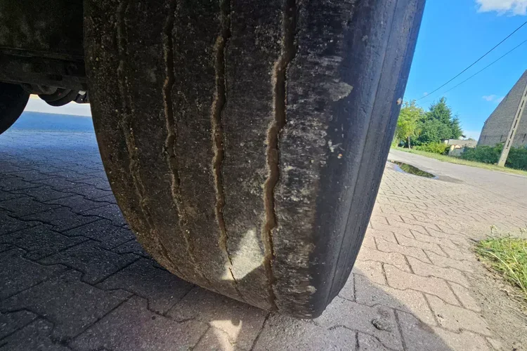 CARNEHL CHKS/A 52M zdjęcie 12