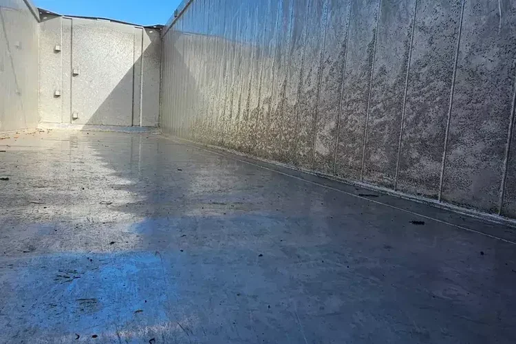 CARNEHL CHKS/A 52M zdjęcie 19