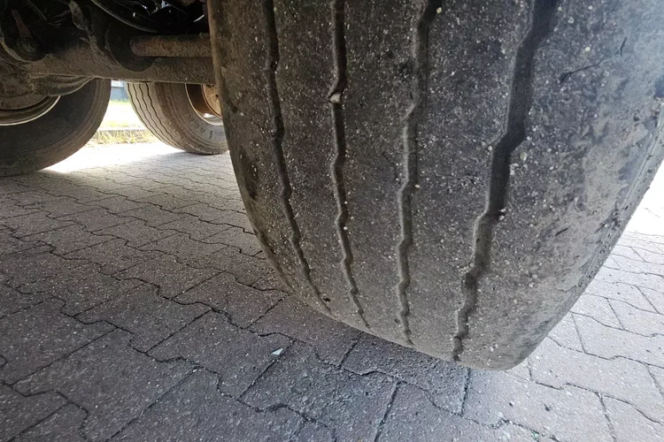 CARNEHL CHKS/A 52M zdjęcie 8