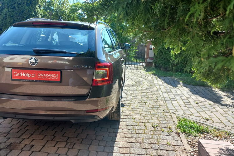 Skoda Octavia Rezerwacja STYLE DSG Ledy Bi-Xenon Nagłośnienie Canton 570W zdjęcie 48