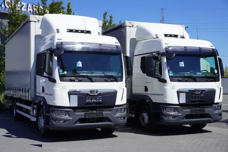 TGM 15.290 Firanka / Glob / Manual / 2 łóżka / 17 Epal zdjęcie 3