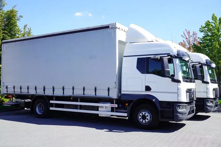 TGM 15.290 Firanka / Glob / Manual / 2 łóżka / 17 Epal zdjęcie 6