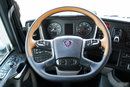 Scania S 450 / RETARDER / KLIMATYZACJA POSTOJOWA / ALUFELGI / NAVI / PO KONTRAKCIE SERWISOWYM / SPROWADZONA zdjęcie 28