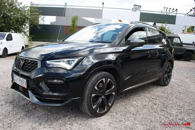 Cupra ateca zdjęcie 12