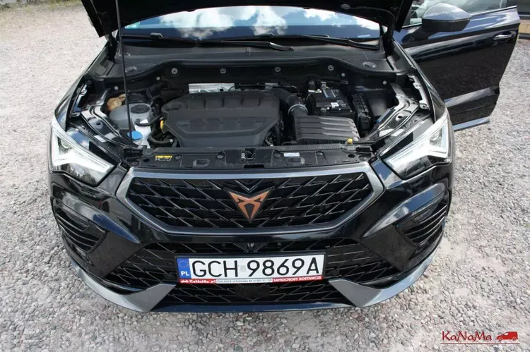 Cupra ateca zdjęcie 17