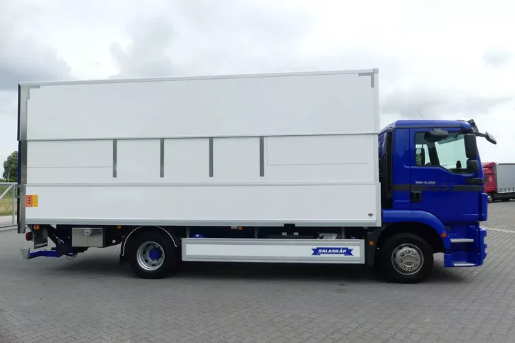 MAN TGM 12.250 / EURO 6 / KONTENER + WINDA / PRZEBIEG 90 tys km / zdjęcie 7