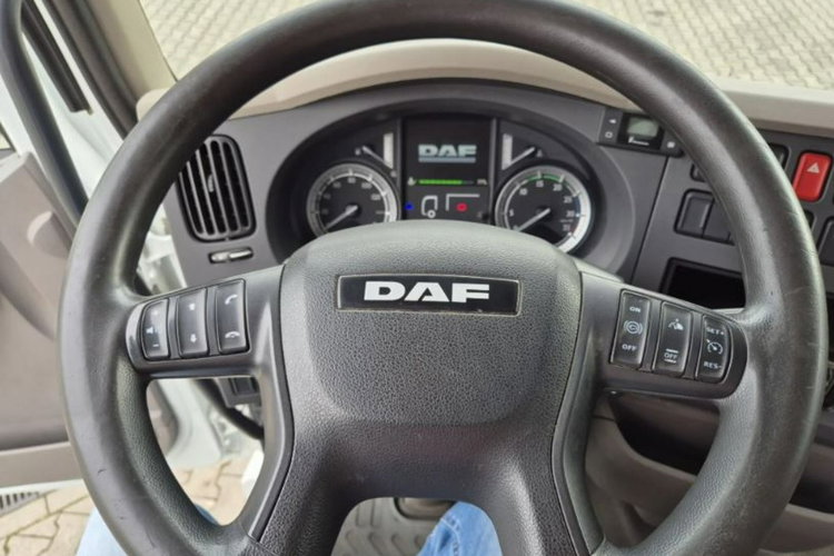 LF 250 DAF LF 250 FA / 3 MIEJSCA SIEDZĄCE / KONTENER / WINDA ZEPRO 1500KG zdjęcie 24