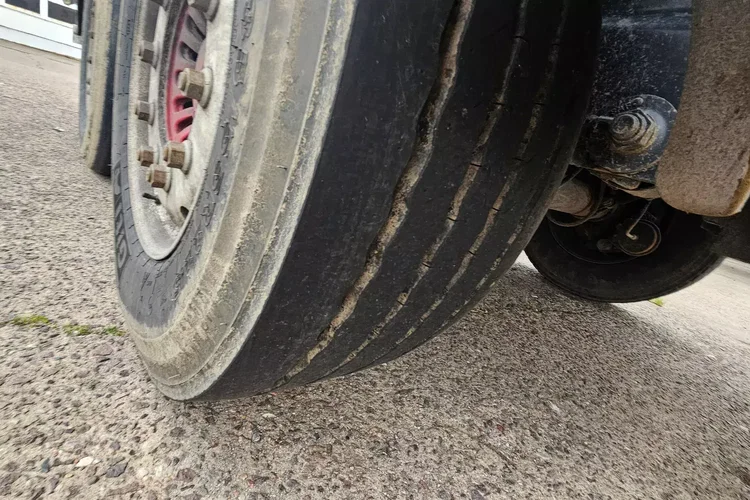 Inna AS MIELKE DO DREWNA zdjęcie 7