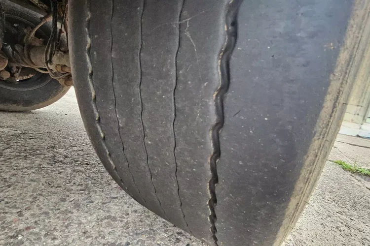 Inna AS MIELKE DO DREWNA zdjęcie 9