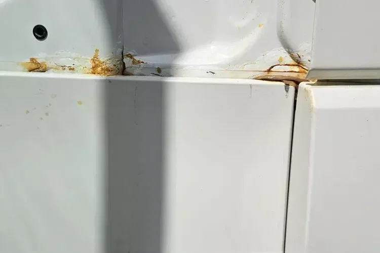 DAF XF 440 SC zdjęcie 24