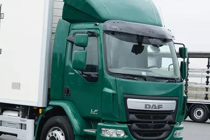 DAF LF / 250 / EURO 6 / CHŁODNIA + WINDA / MULTITEMPERATURA zdjęcie 31