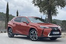 LEXUS UX 300h Business zdjęcie 1