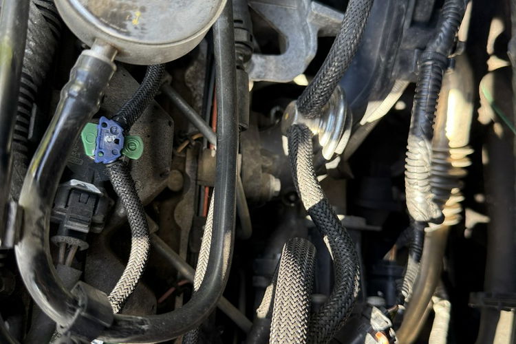 Ford Focus Nowy rozrząd oryginalny przebieg zdjęcie 17