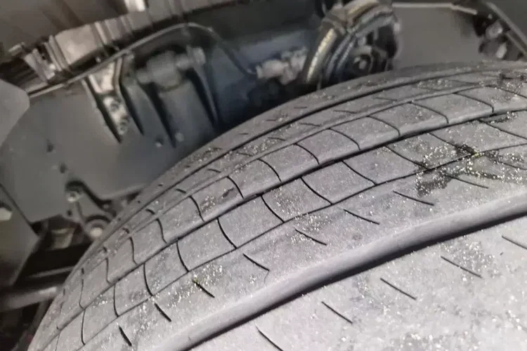 Stare Zegary, Klima Postojowa / Dealer Scania Nada zdjęcie 7