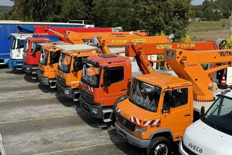 Mercedes Vario 814 D 4x4 Zwyżka RUTHMANN STEIGER T220 Podnośnik Koszowy zdjęcie 4