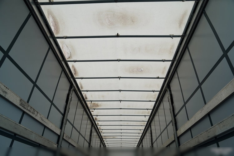 Schmitz -CARGOBULL / FIRANKA / STANDARD / MULDA DO STALI - 9 M / DACH PODNOSZONY / 2022 ROK / OŚ PODNOSZONA / PO KONTRAKCIE SERWISOWYM zdjęcie 18