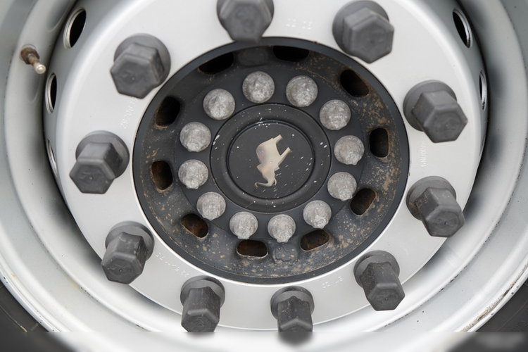 Schmitz -CARGOBULL / FIRANKA / STANDARD / MULDA DO STALI - 9 M / DACH PODNOSZONY / 2022 ROK / OŚ PODNOSZONA / PO KONTRAKCIE SERWISOWYM zdjęcie 26