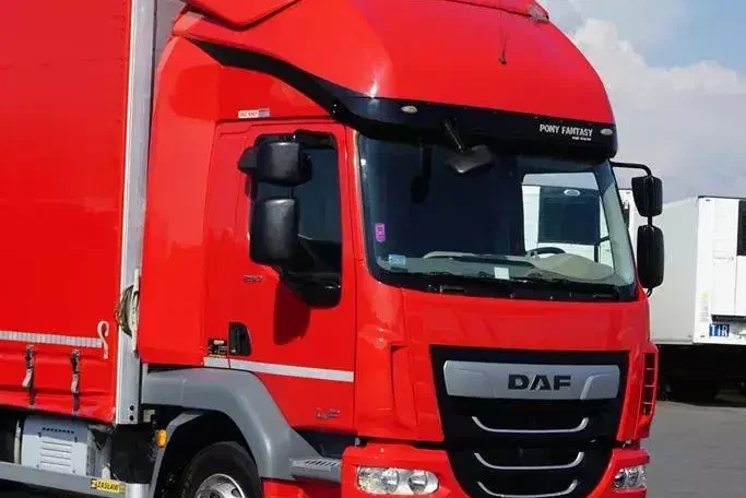 DAF LF / 260 / ACC / E 6 / FIRANKA / 22 PALETY / DŁ. 8.85 M zdjęcie 25
