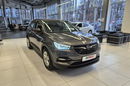 Opel Grandland X zdjęcie 8