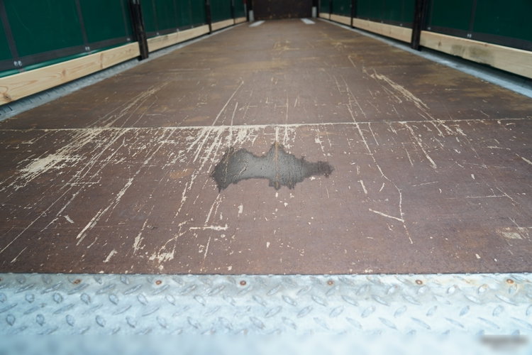 Schmitz -CARGOBULL / FIRANKA / STANDARD / DWIE OSIE PODNOSZONE /  WINDA ZAŁADOWCZA  - 2 000KG  / 2015 zdjęcie 22