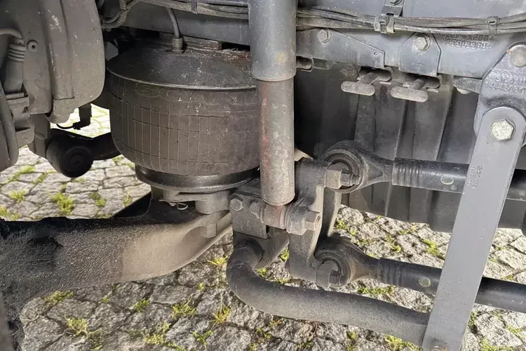 Scania P250 zdjęcie 15