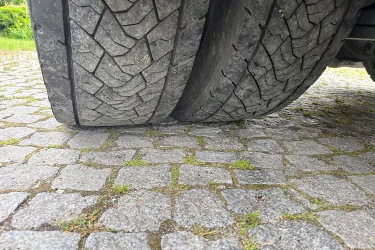 Scania P250 zdjęcie 24