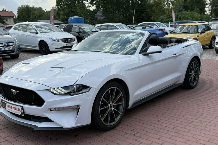 Ford Mustang Cabrio, Wypas, Automat zdjęcie 15
