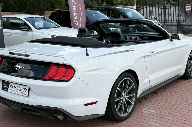 Ford Mustang Cabrio, Wypas, Automat zdjęcie 20