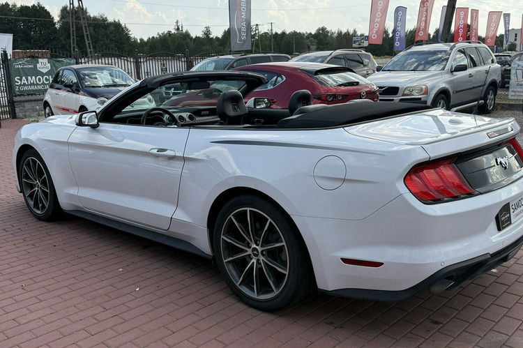 Ford Mustang Cabrio, Wypas, Automat zdjęcie 21