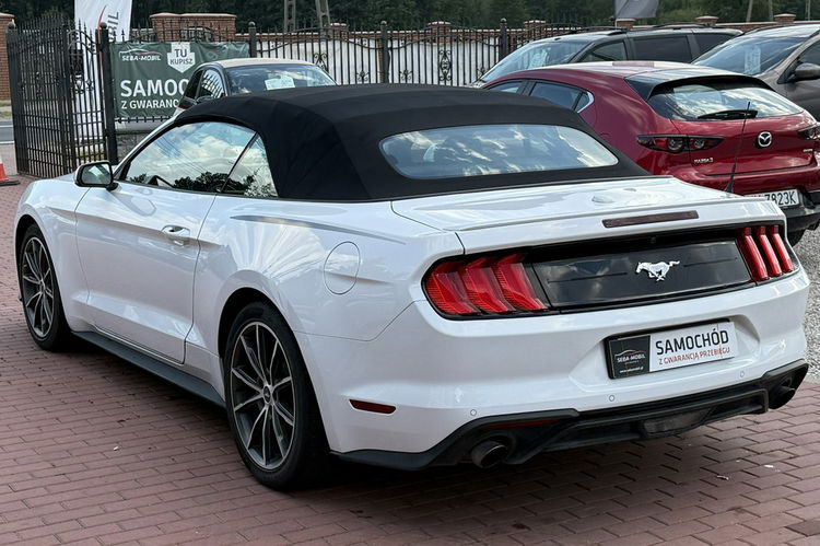 Ford Mustang Cabrio, Wypas, Automat zdjęcie 6