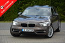BMW 120 2.0d(184KM) Sport Bi-xenon Ringi Navi Professional 2xParktr. Szyber zdjęcie 1