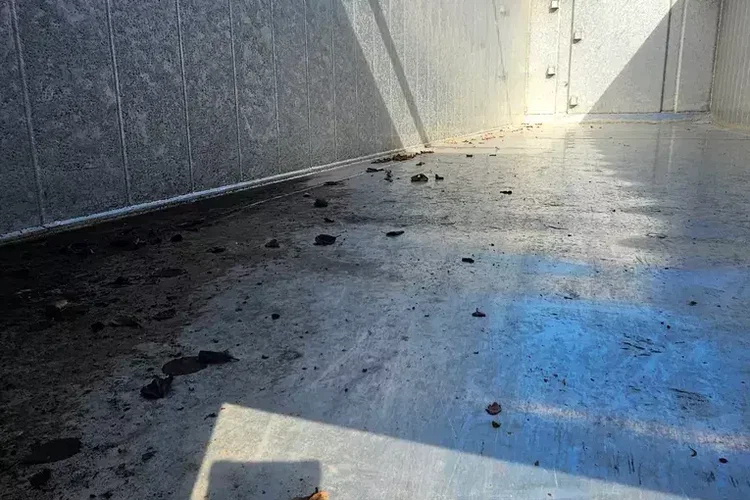 CARNEHL CHKS/A 52M zdjęcie 20