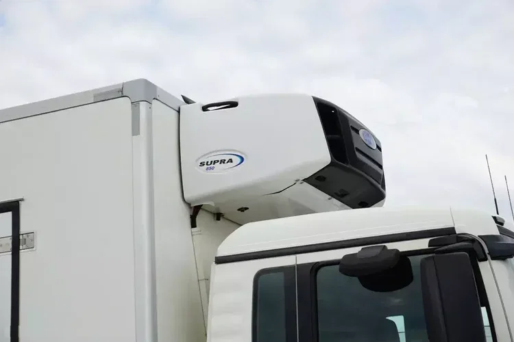 MAN TGS / 26.360 / EURO 6 / CHŁODNIA + WINDA / 23 PALETY zdjęcie 17