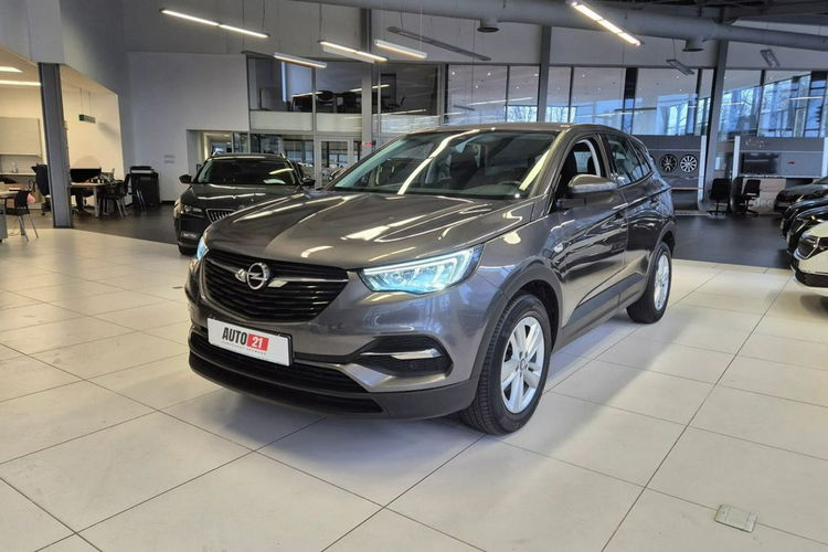 Opel Grandland X Salon Pl 1wł bezwypadkowy FV 23% Rok Gwrancji zdjęcie 1