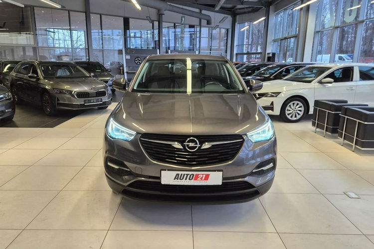 Opel Grandland X Salon Pl 1wł bezwypadkowy FV 23% Rok Gwrancji zdjęcie 2