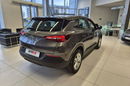 Opel Grandland X Salon Pl 1wł bezwypadkowy FV 23% Rok Gwrancji zdjęcie 9