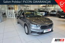 Skoda Fabia Salon PL, 1wł, Full ASO, Rok Gwarancji, Dealer Skody FV zdjęcie 1