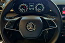 Skoda Fabia Salon PL, 1wł, Full ASO, Rok Gwarancji, Dealer Skody FV zdjęcie 15