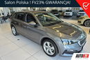 Skoda Scala 1wł, serwis ASO, Rok Gwarancji, Dealer Skody zdjęcie 1