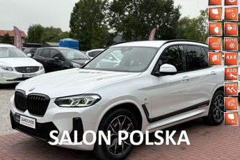 BMW X3 Salon Polska, Gwarancja, 1 Wł, Serwis