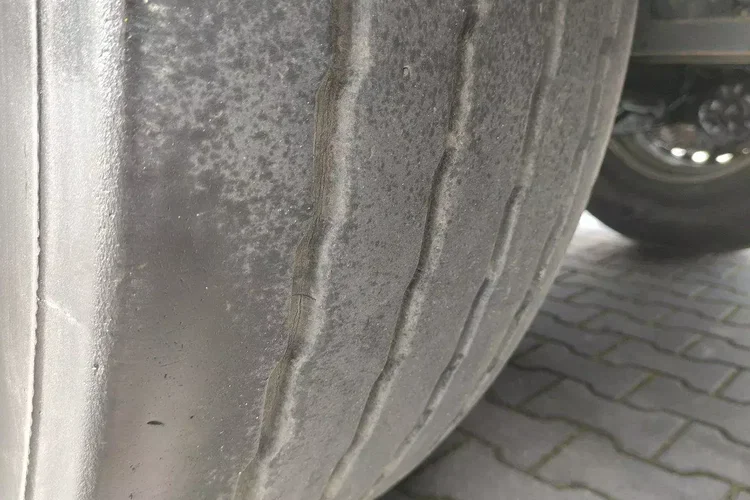 Wielton Standard na osiach SAF LIBNER DO PALET, ZRĄBKI, TROCIN zdjęcie 22