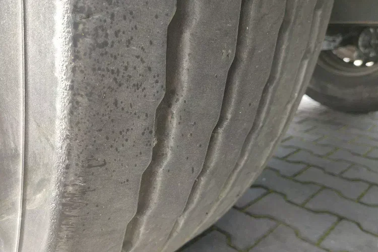 Wielton Standard na osiach SAF LIBNER DO PALET, ZRĄBKI, TROCIN zdjęcie 23