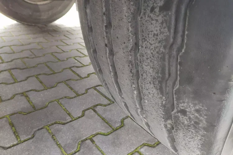 Wielton Standard na osiach SAF LIBNER DO PALET, ZRĄBKI, TROCIN zdjęcie 27