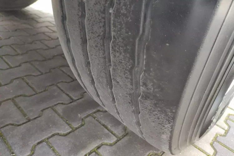 Wielton Standard na osiach SAF LIBNER DO PALET, ZRĄBKI, TROCIN zdjęcie 28