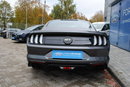 Mustang GT Fastback 5.0 V8 450KM A10 MagneRide ASO Forda zdjęcie 5