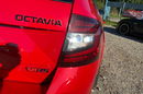Skoda Octavia 2.0 tsi 240 KM kolor individual full opcja mały przebieg zdjęcie 3